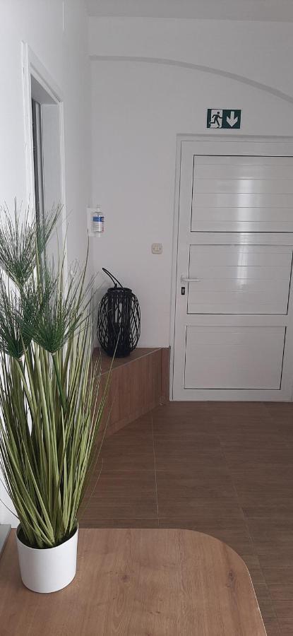 Villa Rajski Dvor 1 Bol Extérieur photo